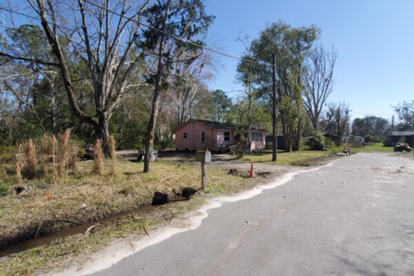 2616 ligustrum (1)