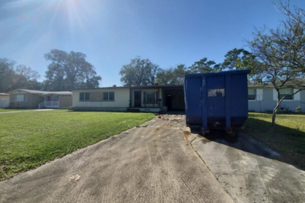 2616 ligustrum (12)