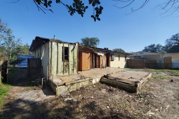 2616 ligustrum (13)