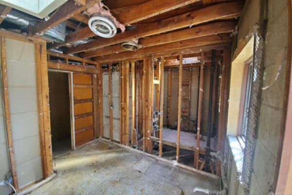 2616 ligustrum (17)