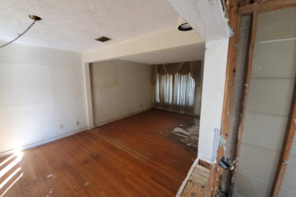 2616 ligustrum (18)