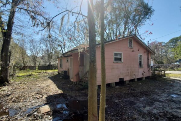 2616 ligustrum (2)