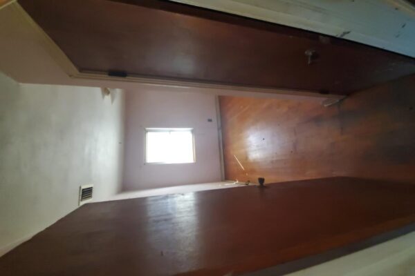 2616 ligustrum (20)
