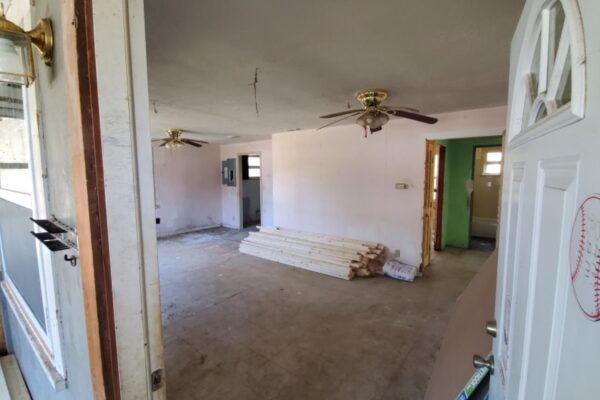 2616 ligustrum (3)